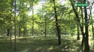 Парк Победы. Малгобек