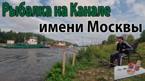 Рыбалка на Канале имени Москвы на леща рыбалка 2024 #рыбалка2024 #рыбалканаканале