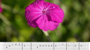 Sidney Bechet-Petite Fleur(tab)