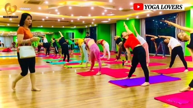 21 Days Yoga Challenge Yoga For Beginners || Flexibility And Weight Loss || Yoga Lovers || Day-14