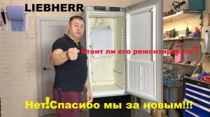 Стоит ли ремонтировать холодильник LIEBHERR в 2025 году?