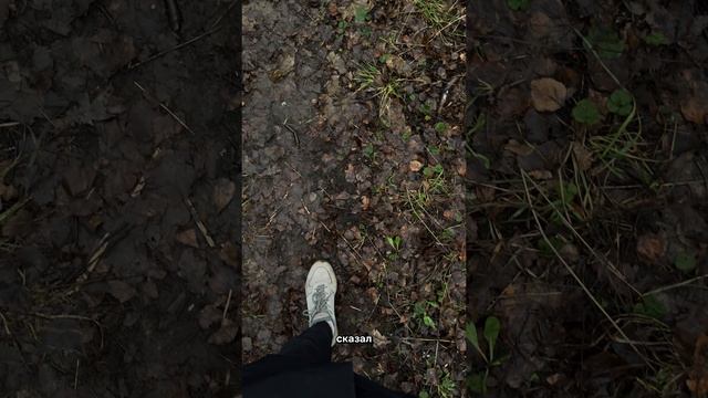 Вымысел и реальность: трудности лжецов