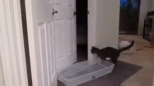 Приколы скатами