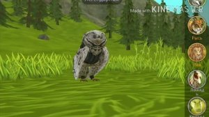 НЕ ИГРАЙ В WILDCRAFT В 3 часа ночи