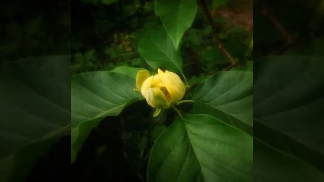 In June смотреть онлайн