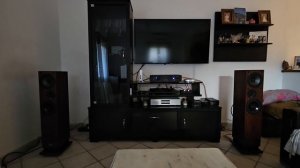 proac response dt8