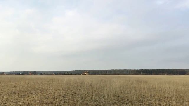 Тренировка сокола
