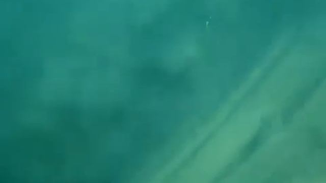 Dragflow from Italy , Dredging Pump Singapore, Dragflow pumps performance смотреть онлайн