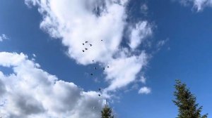 Голуби 2024 г, посадка без дропера !!!