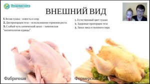 Как выбрать полезную курицу?