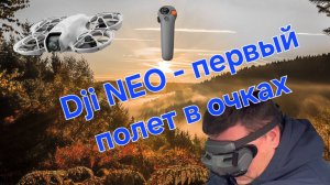 DJI NEO - первый полет в очках GOGGLES 3 и DJI RC Motion3