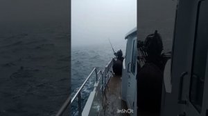 Поход на Шпицберген 28.07.23г.- часть 1 (Мурманск - о. Медвежий - Шпицберген), на яхте Мидана.