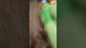 Новые путешествия По Капибарии