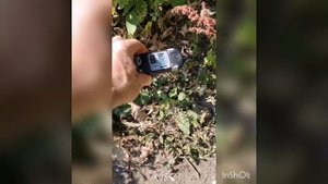 Дозиметр ТЕРРА МКС-0.5 прочерка работоспособности