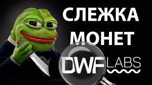 Слежка за Маркетмейкером DWF Labs Как Найти Монеты для Роста на Бычьем Рынке