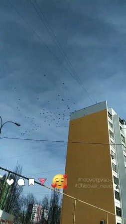 Весна, птички! #путешествие #природа #город #посмотривокруг #Chelovek_nevidimka #video #видео
