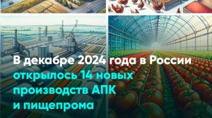 В декабре 2024 года в России открылось 14 новых производств АПК и пищепрома