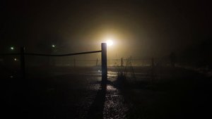 Чужой брожу в своём краю. Стихи. Автор: Козырин Валерий.