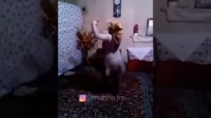 духтари точик ксте харом бинед чалаба