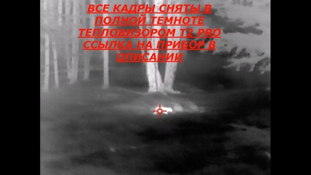 ОХОТА С ТЕПЛОВИЗОРОМ смотреть онлайн