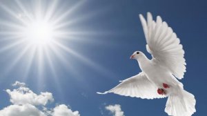 Воскресное Богослужение 02.02.2025