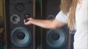 VINTAGE SPEAKERS JENSEN LS-4