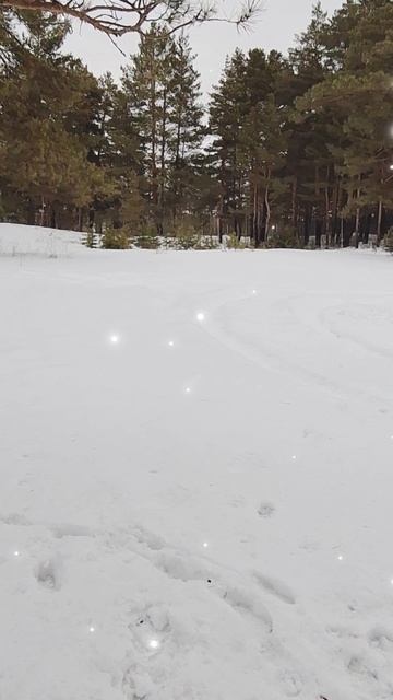 Бегущая по снегу 2049.. смотреть онлайн