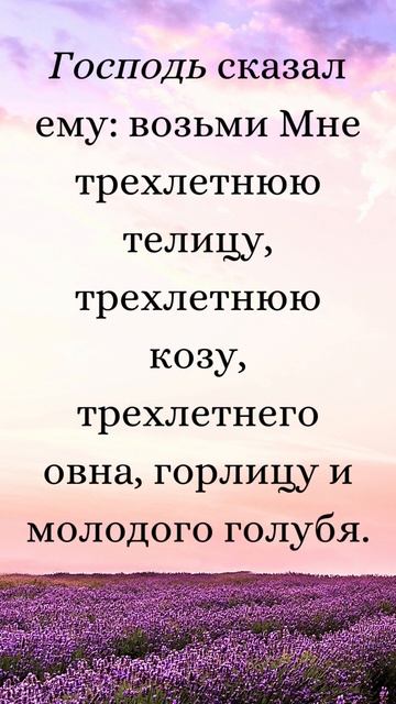 Бытие 15:9-10 (Русская Синодальная Библия) #библия #писание #русскаясинодальнаябиблия #бытие смотреть онлайн