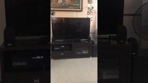Polk Audio TL1600 Yamaha rxv383