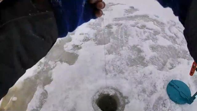 ВЫСТАВИЛ ЖЕРЛИЦЫ В ЛЕСНОЙ ЛУЖЕ и вот РЕЗУЛЬТАТ! ЗДЕСЬ живут щуки-МАМКИ! Впервые ПРОВАЛИЛСЯ под ЛЁД. смотреть онлайн