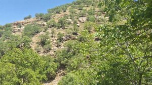 The lifestyle of the Iranian nomads in the Zagros mountains, clear spring spring melting snow 2024