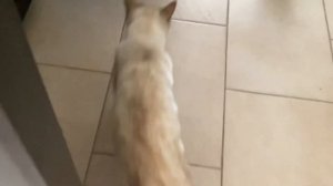 Проводим день с Зёмой (1,2 серия) ❤️