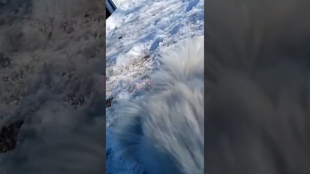 ☀️БУДНИ ПРИЮТА «ДОМ ДОБРА» г. Вязьма 🏡