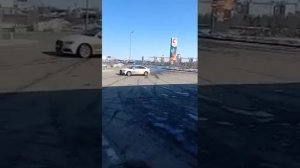 Лось на заправке в Тверской области