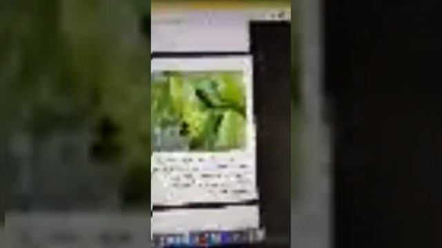 Опасные заболевания на плодовых деревьях