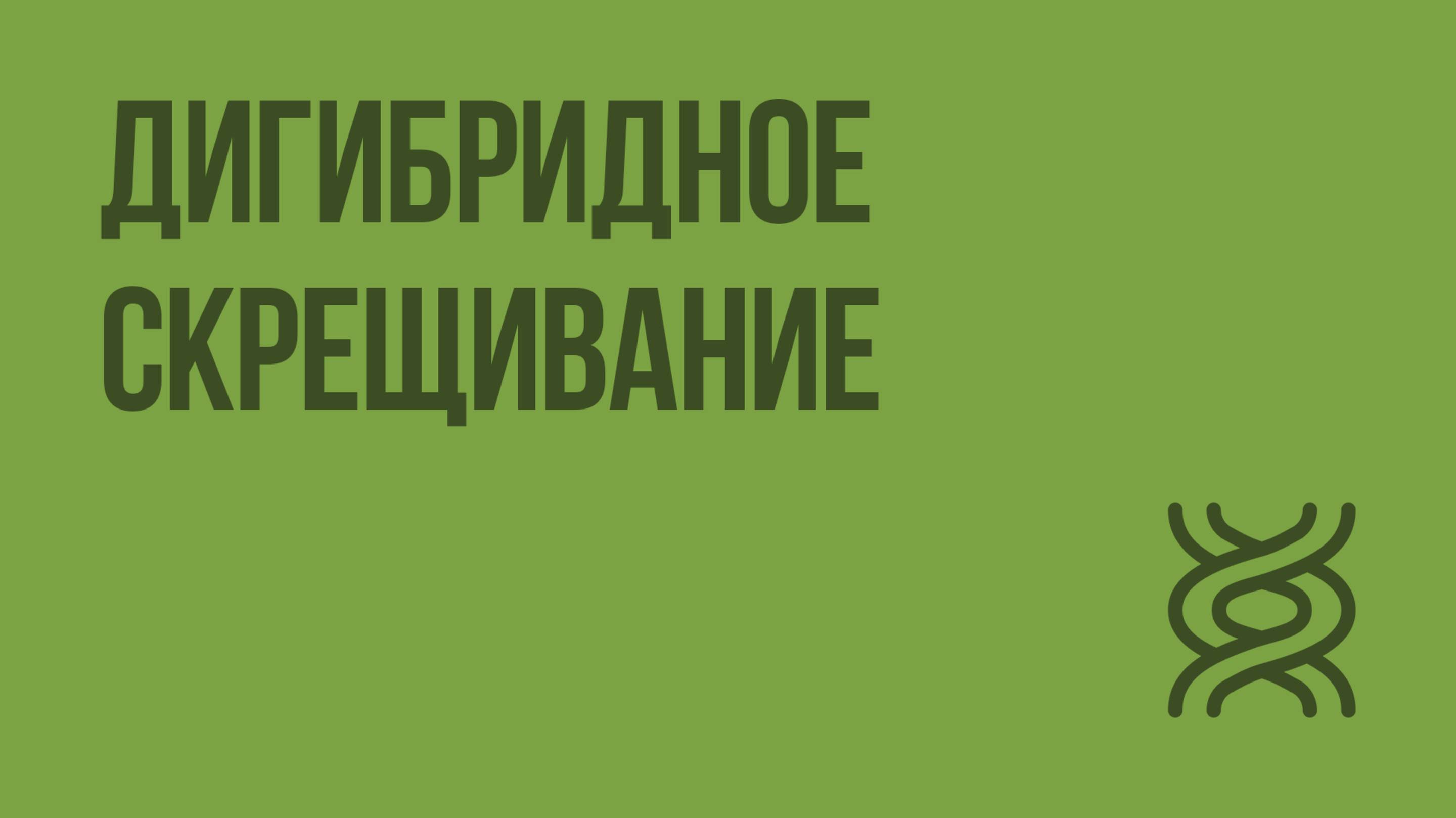 Дигибридное скрещивание. Видеоурок по биологии 9 класс