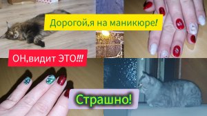 23.12.2023 ЧТО ЭТО...НЕЧИСТЬ_😱🎁 От маникюрщицы!🤩Сыпет🌨❄️2-3 дня!🐈Укусит и смотрит..что будет_!😆