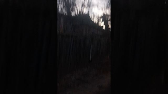 ДОМ 2
