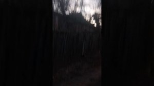 ДОМ 2