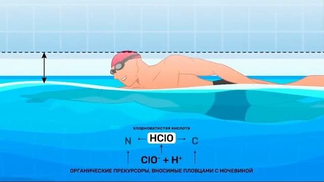 Глобал Веллнесс  о компании миссия
