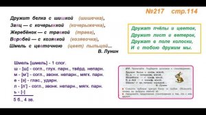Руский язык учебник. 3 класс. Часть 1. Канакина Упражнение 217