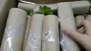 Заказ черенков у Натальи Сацуковой rassadatsvetov26.ru. Как всегда, всё стабильно! Пеларгония Gurme