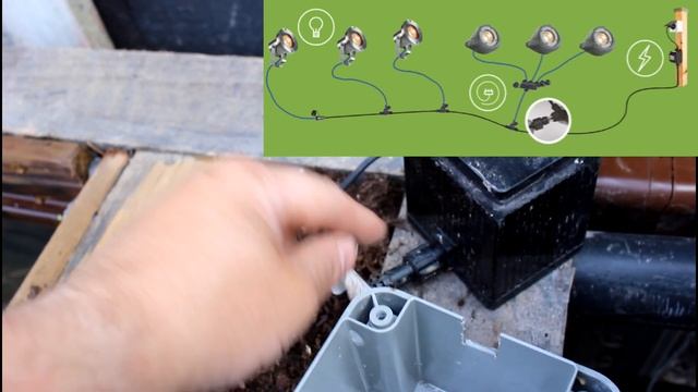 Setting up smart garden lighting with Amazon Alexa control смотреть онлайн