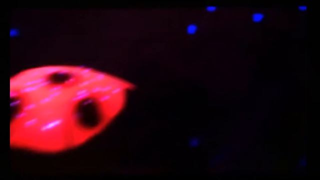 Музыкальный ночник - проектор звездного неба Божья коровка смотреть онлайн