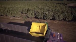 Завод по производству лесных орехов.  Как производится nutella