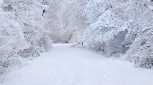 Песня про мамонтов