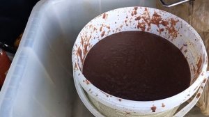 Заготовка кормов для аквариумных рыб 18 06 2024г