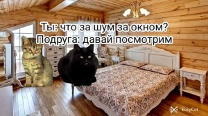 Кото-вирус 1 часть... Пишите свои варианты в коментарии!