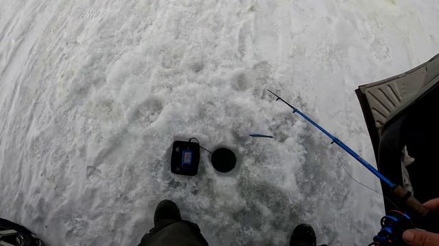 ВЕЧЕРКА НА СУДАКА. ЛЮЦИФЕРЫ В ДЕЛЕ!!! ЛОВЛЯ СУДАКА НА РАТТЛИНЫ на ОВХ. ЭТОТ СУДАК ОБИДЕЛ ОПЕРАТОРА. смотреть онлайн
