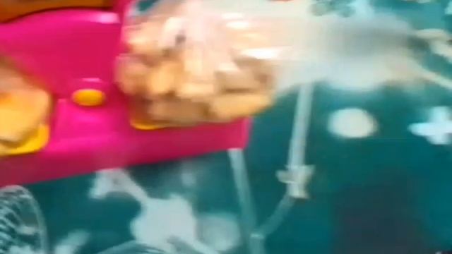 Мая младшая сестра построила школьную столовую.🌯 смотреть онлайн